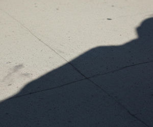 Pijany mężczyzna zdemolował figurę krowy. Kim jest 29-latek, który zaatakował policjantów?