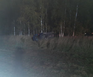 Annówka: Horror na drodze. Śmierć po zderzeniu z łosiem
