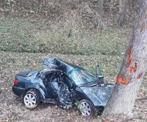 Libusza. Osobówka wypadła jezdni prosto na drzewo! W środku dwie zakleszczone osoby