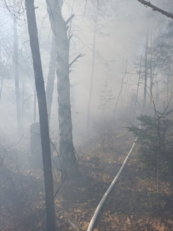 Płonie ponad 10 ha traw w Brodach! Na miejsce leci samolot gaśniczy