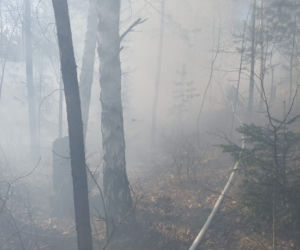 Płonie ponad 10 ha traw w Brodach! Na miejsce leci samolot gaśniczy