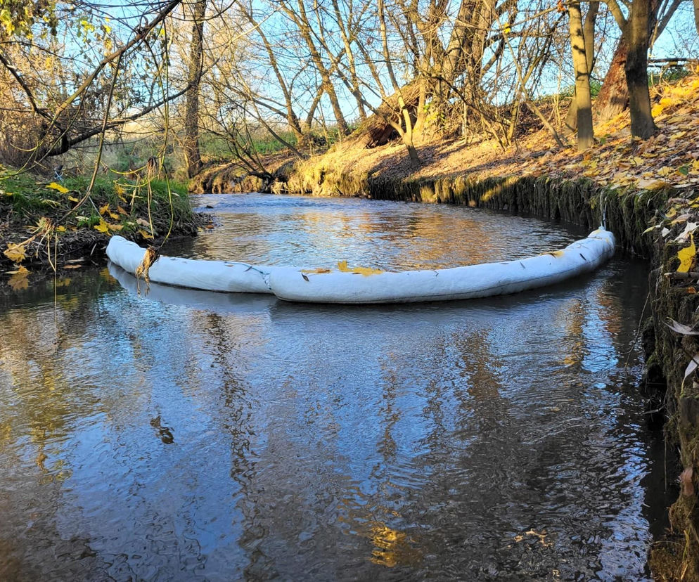 Nietypowe urządzenia na rzekach w Krakowie i Małopolsce. Specjalne łapacze będą łowić śmieci [GALERIA]