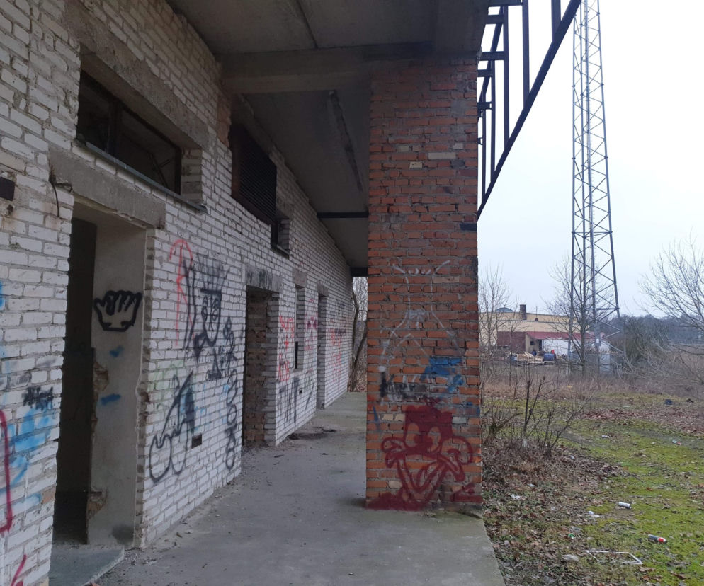 Majówka 2020 w Płocku. Nie tylko lasy i jeziora. Znacie to miejsce? [ZDJĘCIA]