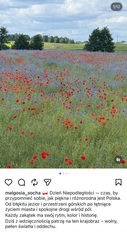 Patriotyczne wpisy gwiazd! Tak 11 listopada uczcili polską wolność
