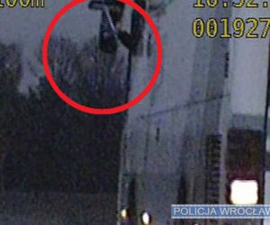 HIT! Jedną ręką prowadził, w drugiej trzymał miotłę i... poprawiał lusterko [ZDJĘCIA]