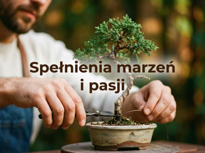 Drzewko bonsai w męskich dłoniach na Dzień Mężczyzn