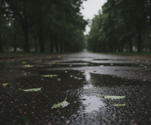 Weekend w Poznaniu z pogodowym zwrotem akcji. Jeden dzień przyniesie ulewy i ochłodzenie