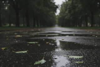 Weekend w Poznaniu z pogodowym zwrotem akcji. Jeden dzień przyniesie ulewy i ochłodzenie