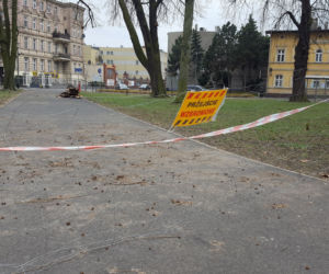 W parku na Pl. Kościuszki przygotowania do nowego sezonu