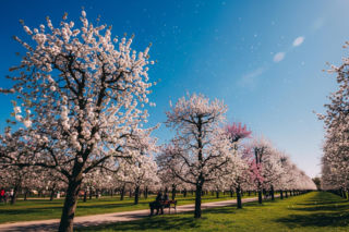 Pogoda na 7 i 8 marca. Gdzie w weekend będzie najcieplej?