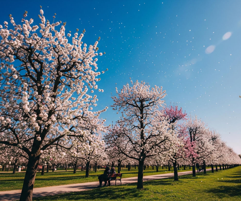 Pogoda na 7 i 8 marca. Gd.jpg