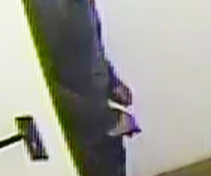 Okradli Racewicz na 175 000 zł