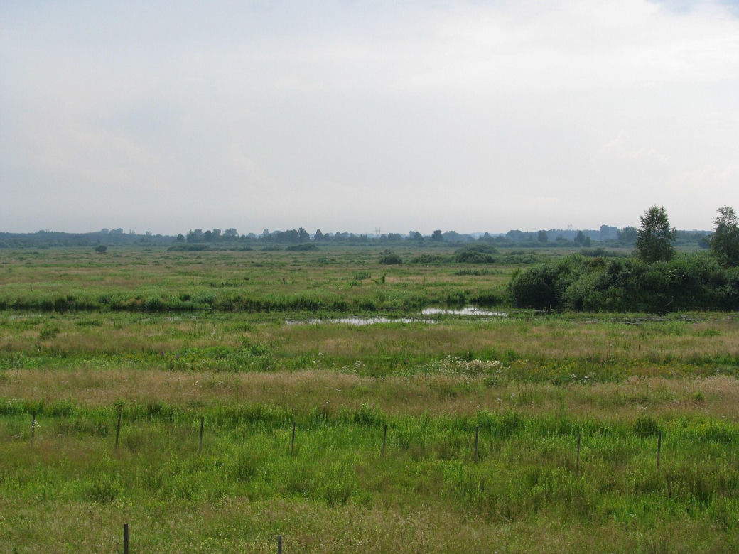 Bagno Całowanie