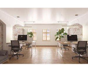 Kamienica Literatury w Poznaniu. Biblioteka Raczyńskich inwestuje w fanów fantastyki.