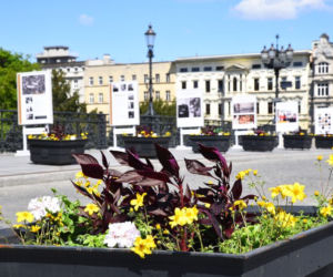 Centrum Bydgoszczy będzie bardziej kolorowe