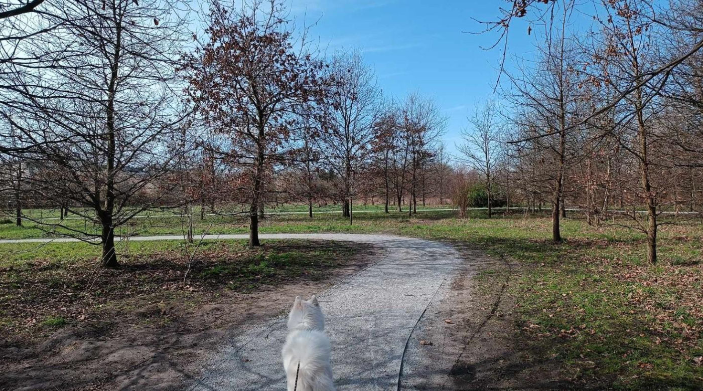 Miasto chwali się Parkiem Krzyckim. Na hucznym otwarciu mieszkańcy zastali plac budowy 