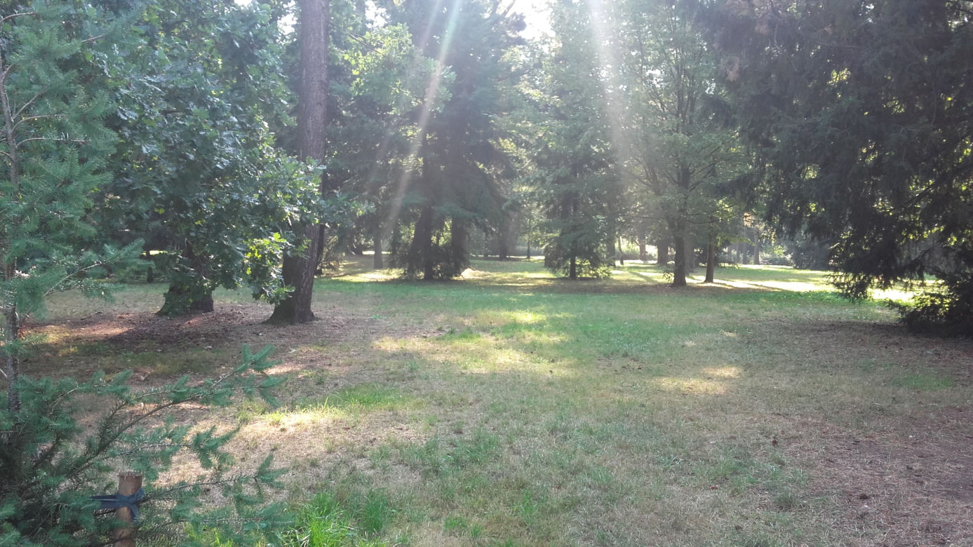 W tym miejscu powstanie nowy park