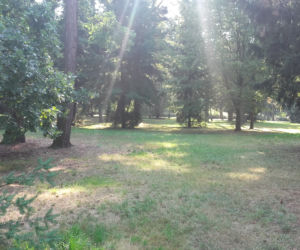 W tym miejscu powstanie nowy park