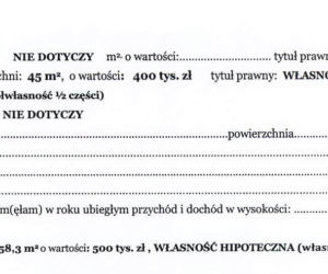 Jacek Karnowski i jego majątek