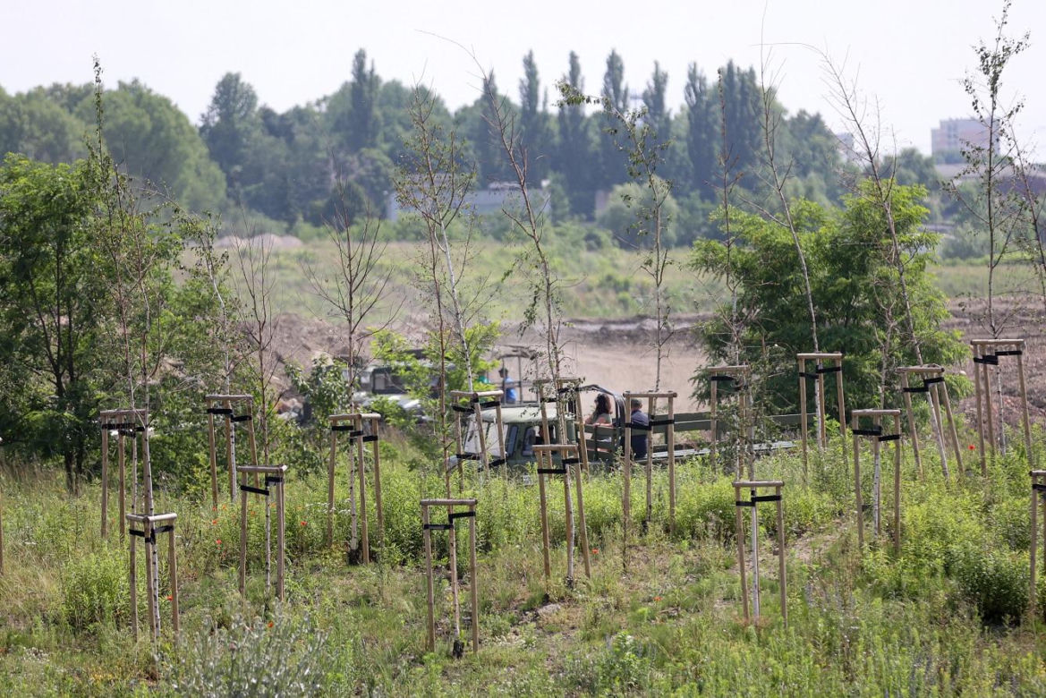 Śląskie Manewry 2024. Miłośnicy militariów spotkali się w Bytomiu