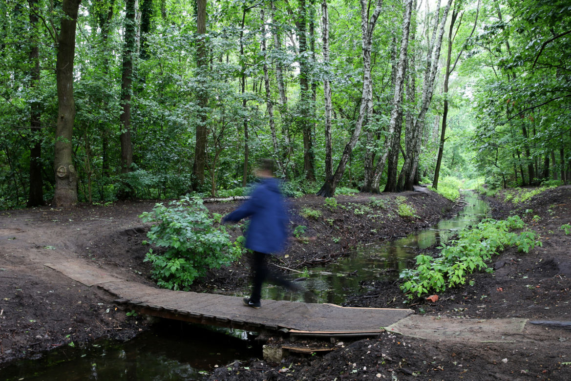 Wytną drzewa żeby zrobić Park Aktywności Rodzinnej. Mieszkańcy Wawra wściekli