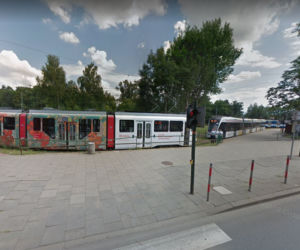 W tych miejscach w Krakowie na pewno spotkamy szczura!