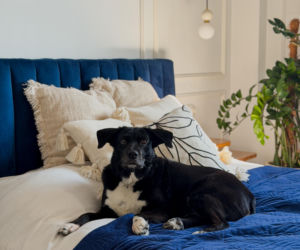 Metamorfoza mieszkania w kamienicy - Wnętrzara Ania