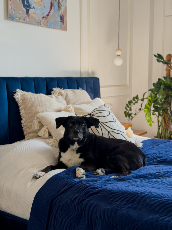 Mieszkanie po metamorfozie