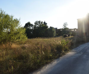 Czekała w studni na ratunek