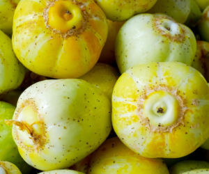 Ogórki cytrynowe