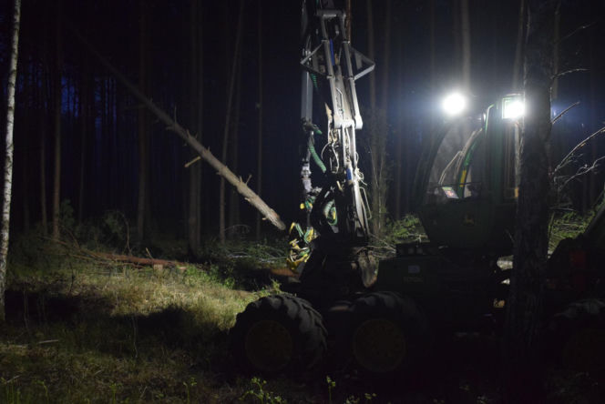 Pożar lasów na Lubelszczyźnie