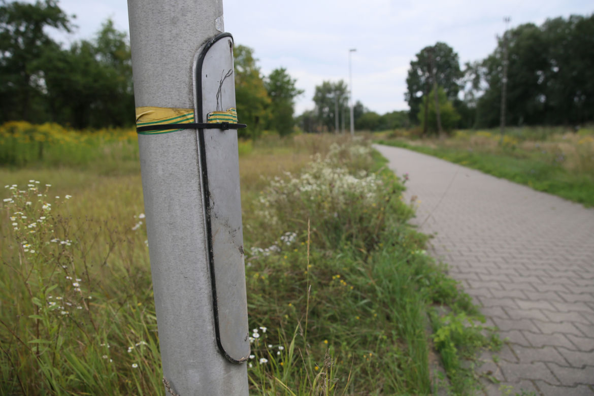 Rozkradli ścieżkę rowerową na Siekierkach. Złodzieje pokonali urzędników