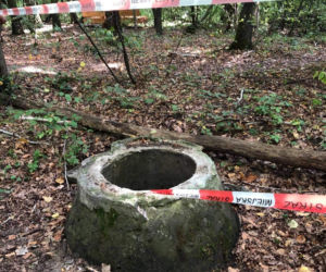 Poznań: Niebezpieczne odkrycie w środku lasu! Obyło się bez ofiar 