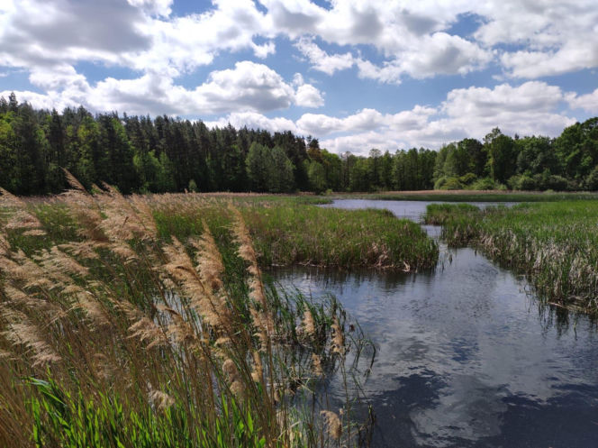 To najmniejszy park krajobrazowy w województwie śląskim. Do niedawna był najmniejszy w Polsce
