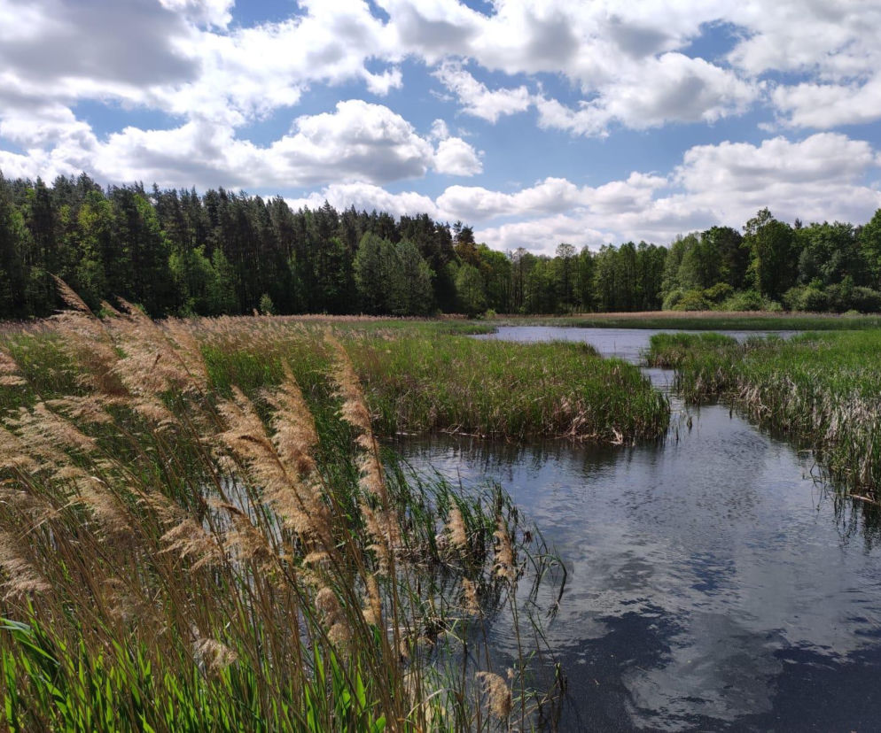 To najmniejszy park krajobrazowy w województwie śląskim. Do niedawna był najmniejszy w Polsce