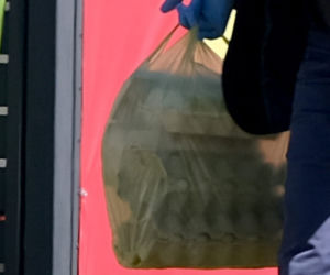 Marszałek Karczewski robi zakupy na bazarku