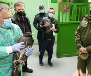 Kuźnica. Nietypowa odprawa niecodziennych gości na przejściu granicznym [ZDJĘCIA]