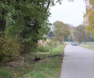 Wiemy kim były osoby, które spłonęły w Romanowie