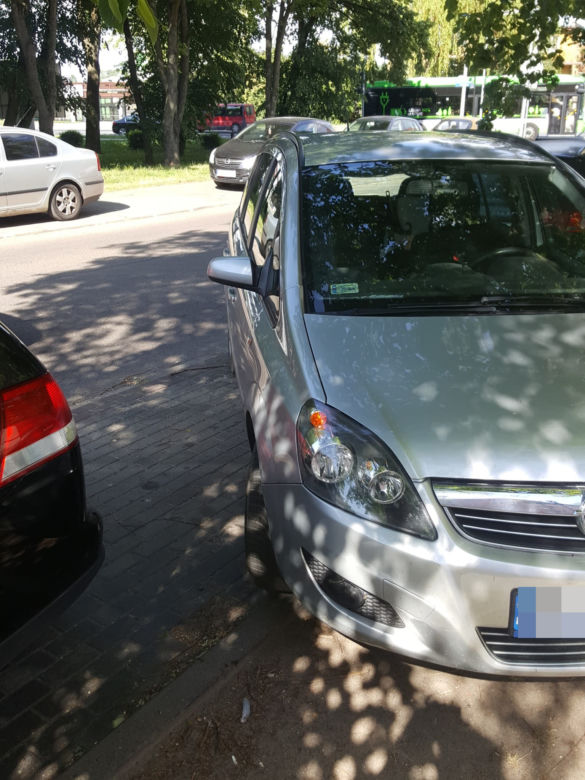Potrącenie psa w Szczecinku