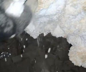Szokująca prawda o trzęsieniu ziemi w Wneezueli ujawniona. To dlatego budynki się waliły?