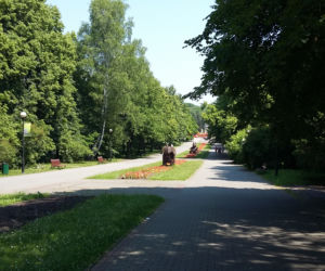 ELKA Chorzów
