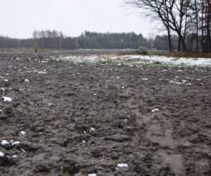 Dąbrówki. Nie żyje 17-letnia Paulina. Przeszliśmy drogę z miejsca imprezy do stawu, z którego wyłowiono ciało [ZDJĘCIA]