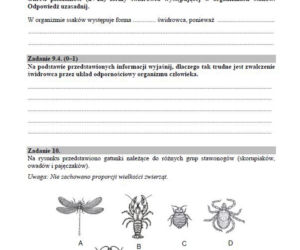 Matura 2019 biologia - poziom rozszerzony