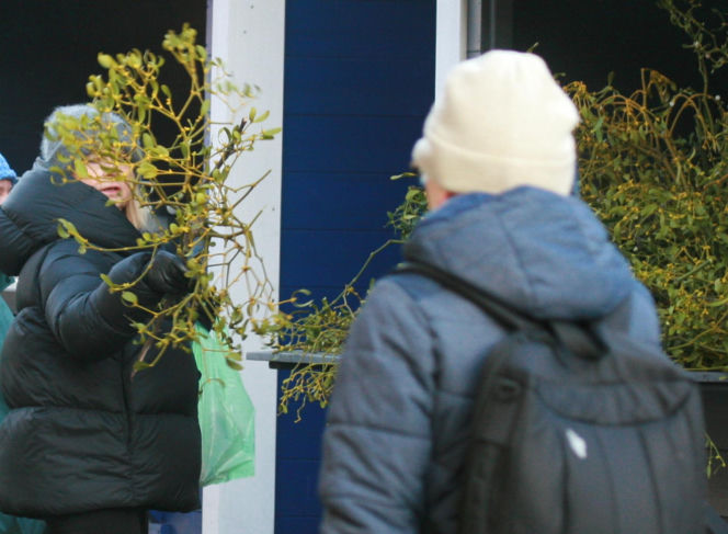 Małgorzata Tusk na przedświątecznych zakupach