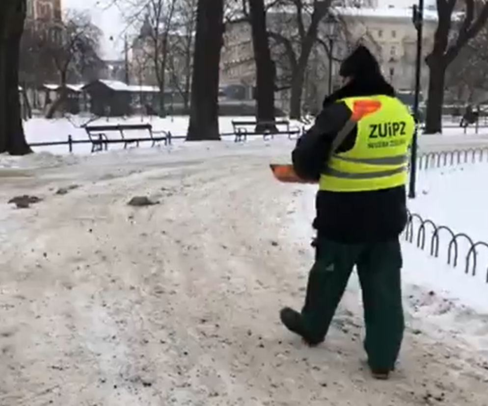 Fusy z kawy już są na krakowskich chodnikach! Czy to bezpieczne działanie?