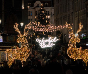 Miasto rozbłysło świąteczną magią! Tłumy na wielkim otwarciu Bydgoskiego Jarmarku Świątecznego