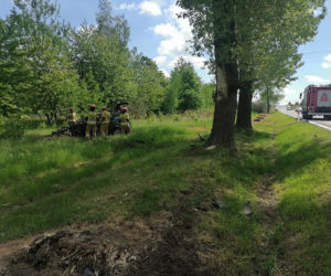 Przeworsk. Kierowca zasnął i zderzył się z drzewem na wysokości 2 metrów