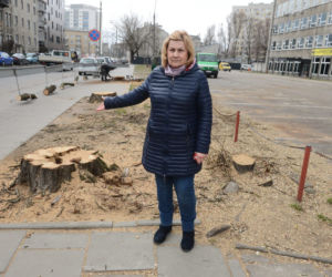 Wycinka drzew w Warszawie