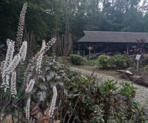 Arboretum Bolestraszyce