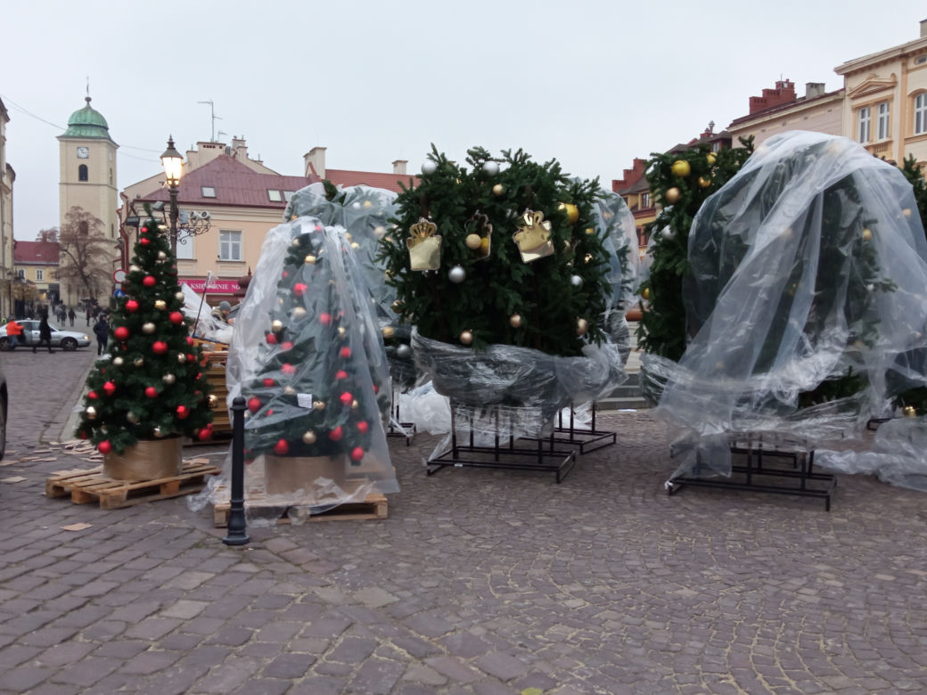Trwa montaż świątecznej choinki na Rynku w Rzeszowie